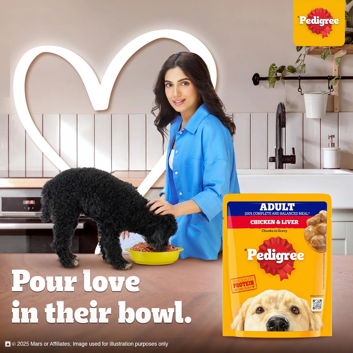 Pedigree Chicken & Liver Chunks in Gravy Adult Wet Dog Food - 70 g