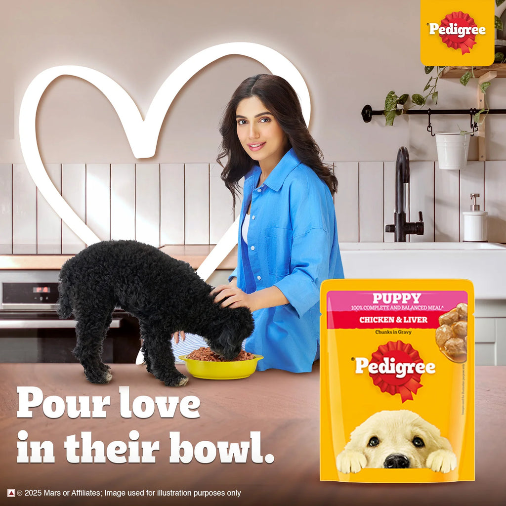Pedigree Chicken & Liver Chunks in Gravy Wet Puppy Food - 70 g