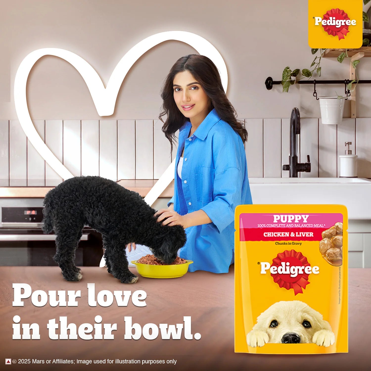 Pedigree Chicken & Liver Chunks in Gravy Wet Puppy Food - 70 g