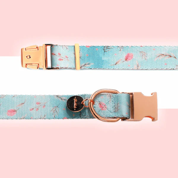 Printed Polyester Adjustable Pet Collar for Dogs
