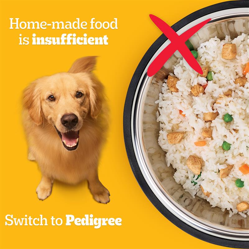 Pedigree Chicken & Vegetables Adult Dry Dog Food