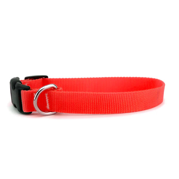 Adjustable Collar with Bell for Cats & Kittens (Red)