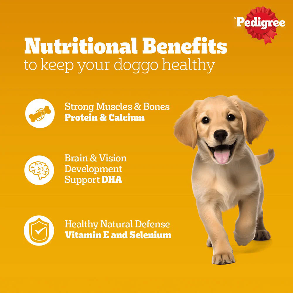 Pedigree Chicken & Liver Chunks in Gravy Wet Puppy Food - 70 g