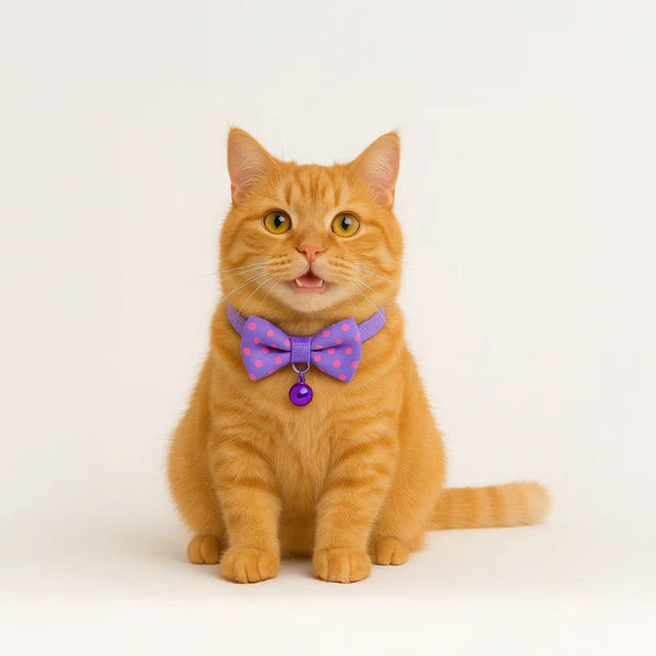 Collar with Bow for Dogs and Cats (Purple)