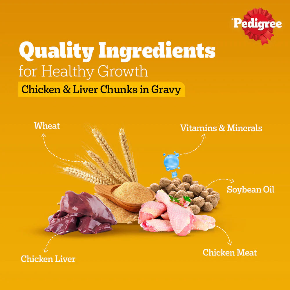 Pedigree Chicken & Liver Chunks in Gravy Adult Wet Dog Food - 70 g