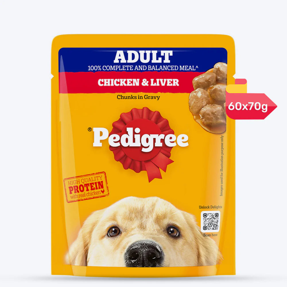 Pedigree Chicken & Liver Chunks in Gravy Adult Wet Dog Food - 70 g