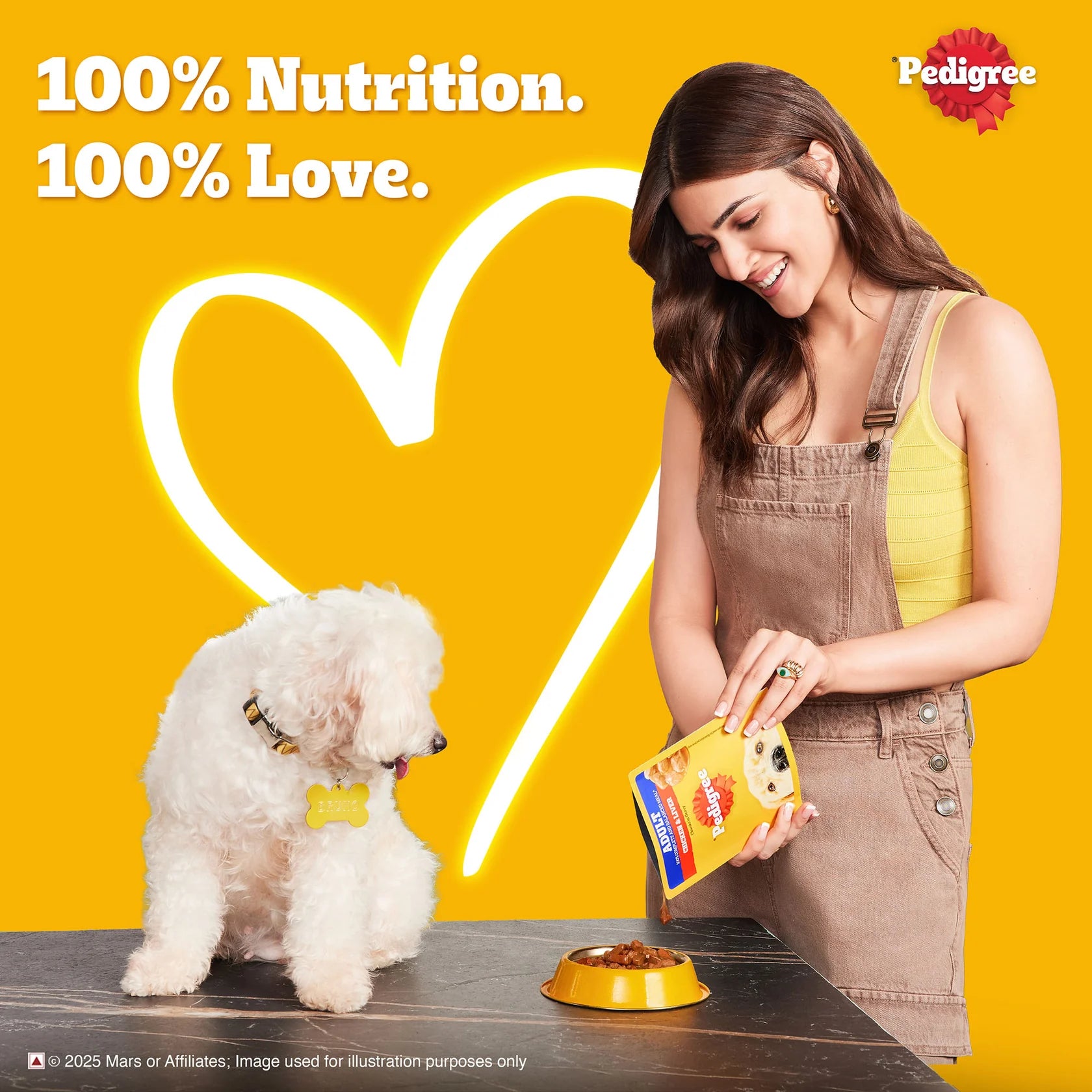 Pedigree Chicken & Liver Chunks in Gravy Adult Wet Dog Food - 70 g