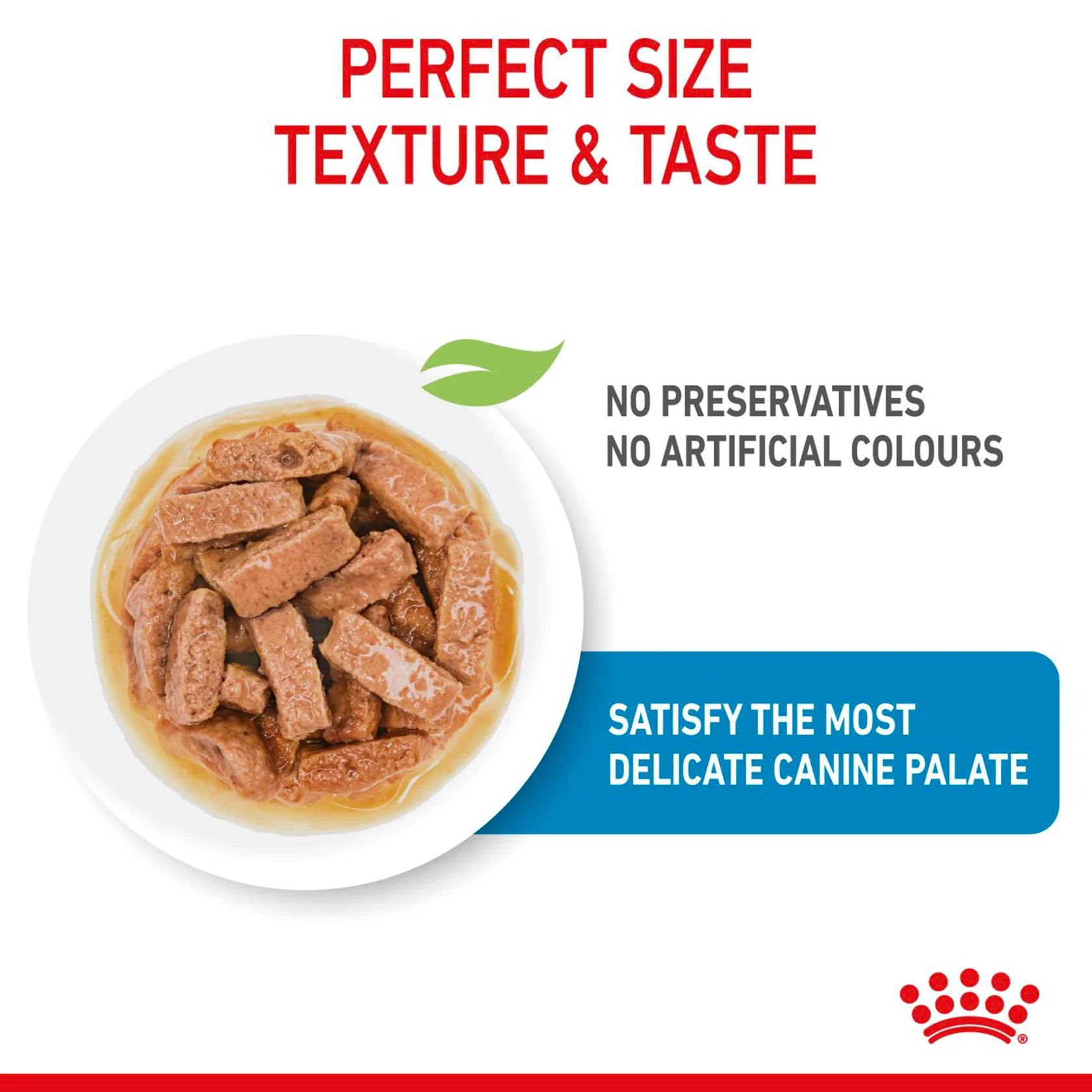 Royal Canin Maxi Breed Wet Puppy Food - 140 g