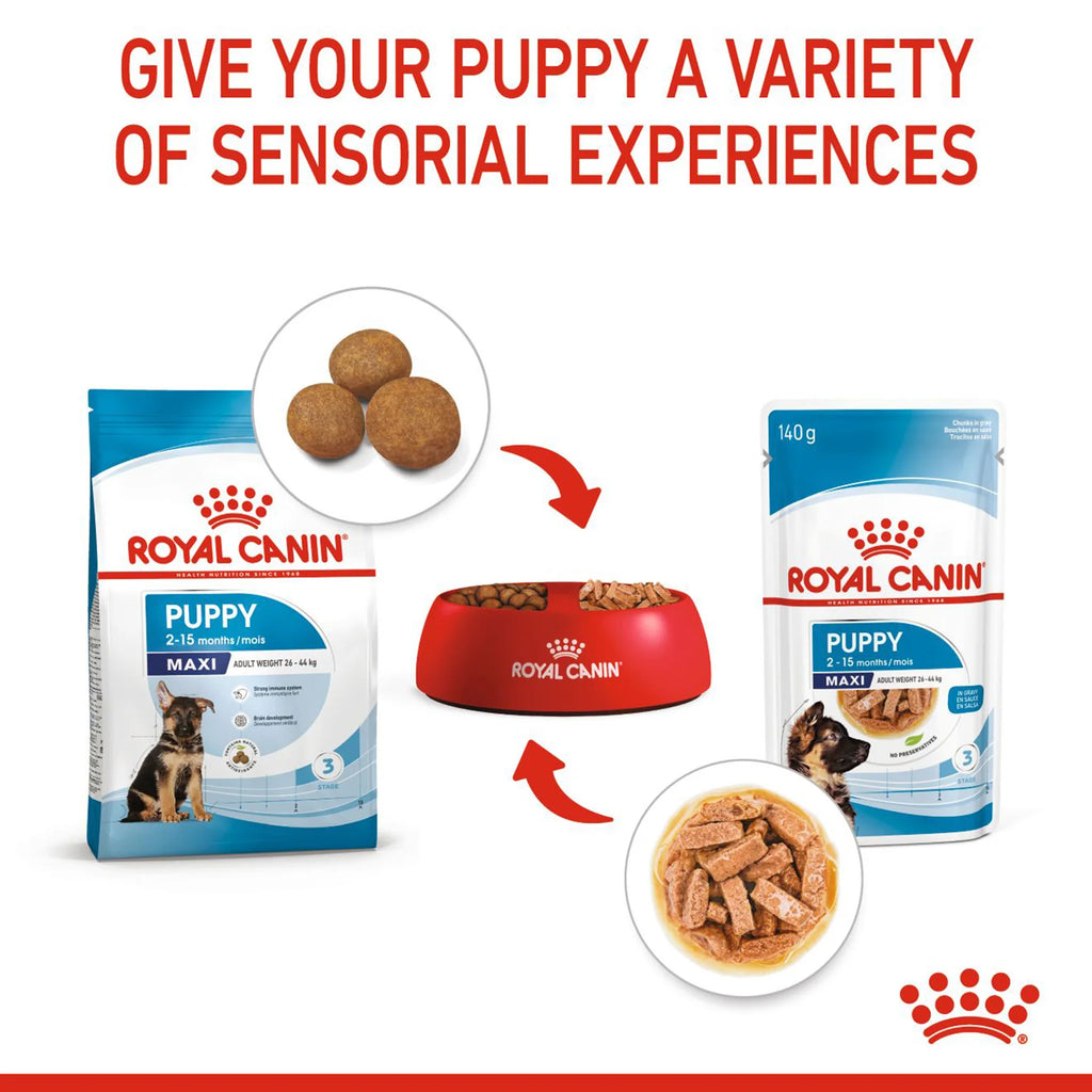 Royal Canin Maxi Breed Wet Puppy Food - 140 g