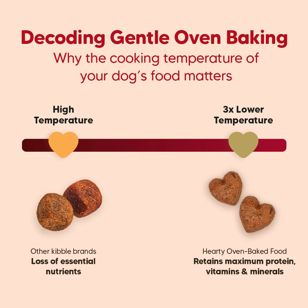 Hearty Turkey, Fish & Chicken Grain-Free Oven-Baked Adult Dog Food