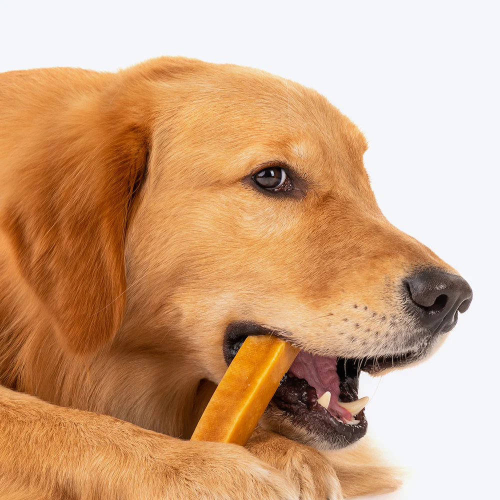 HUFT Yakies Vegetarian Natural Chew Bone