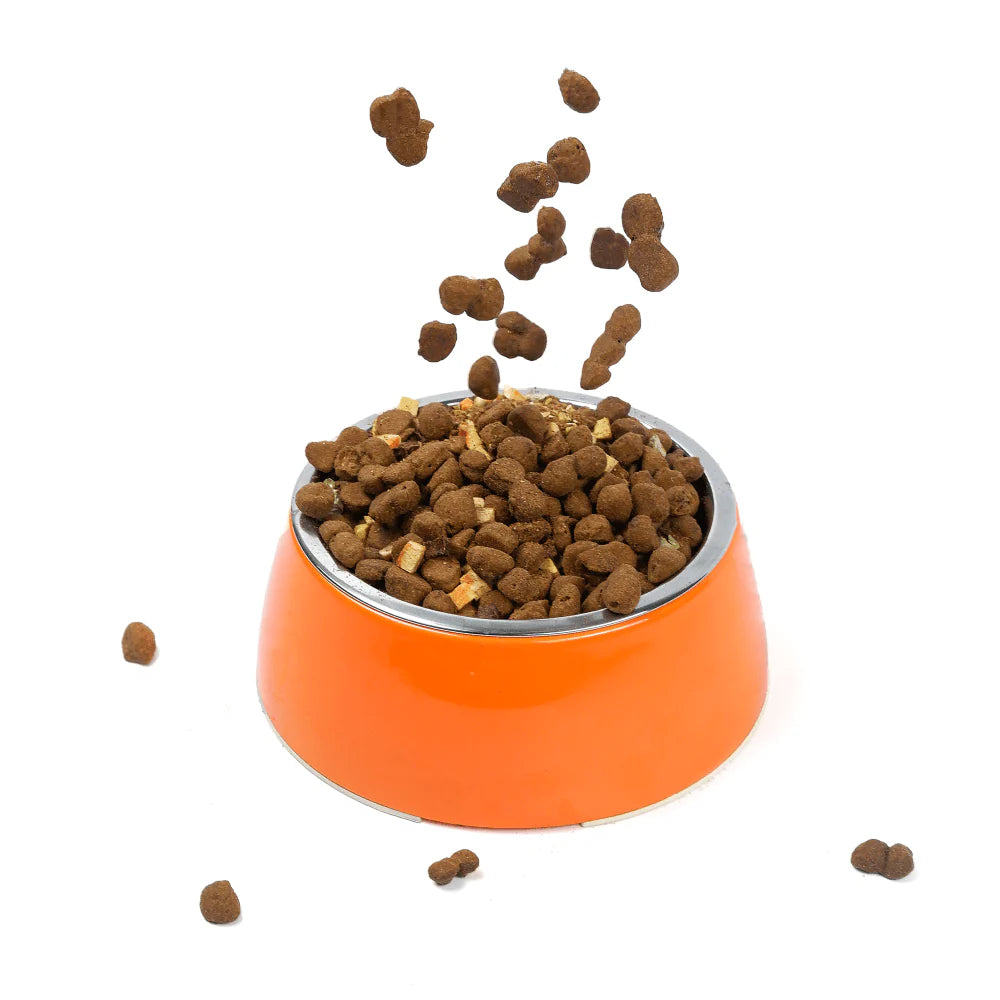 Basil Solid Color Melamine Bowl for Dogs and Cats (Orange) - 800ml