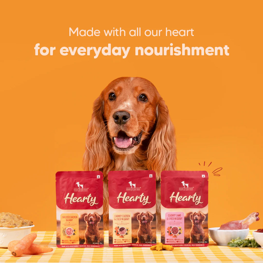 Hearty Shredded Chicken & Pumpkin In Gravy Dog Wet Food - 70 g