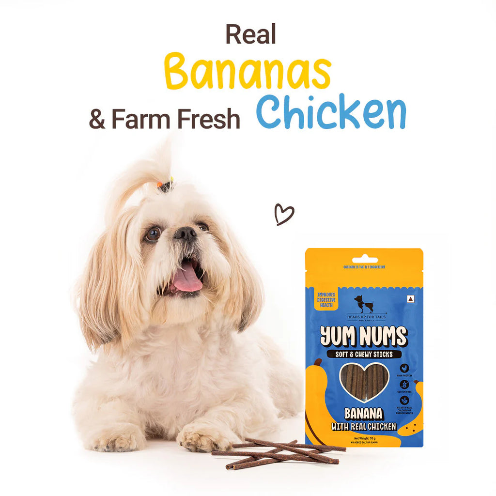 HUFT Yum Nums Soft & Chewy Sticks Banana with Real Chicken Treat For Dogs - 70 g