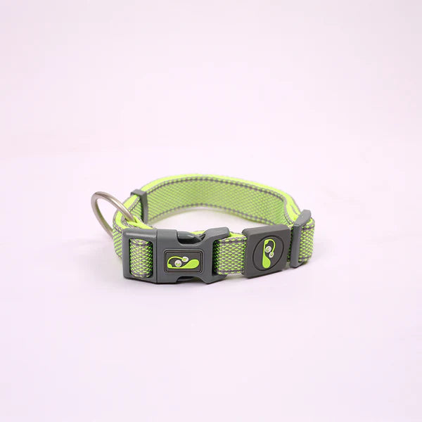 Adjustable Collar for Dogs and Cats (Neon Green)